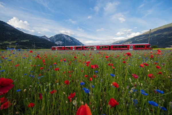 Bonaduz, Graubünden, Schweiz, Switzerland